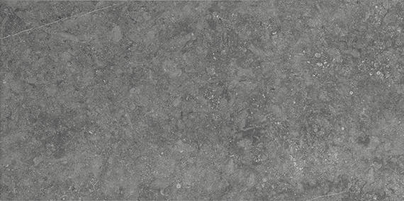 20x40 Diplomacy Natural Stone-Look Matte Textured Porcelain Tile Pale Gray