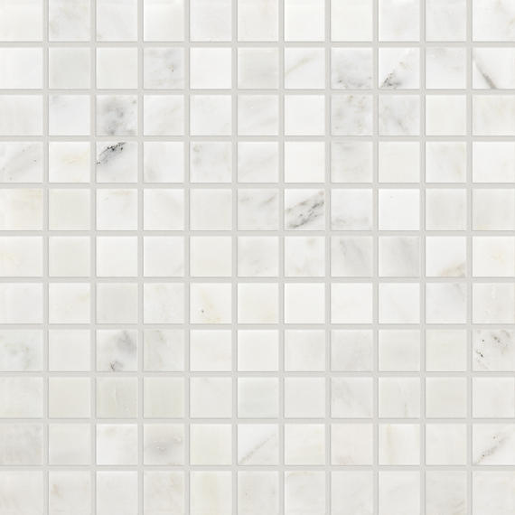 2x2 Marble Mosaic Stone-Look Honed Smooth Marble Tile White Gray