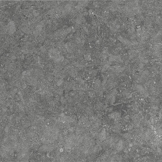 Pale Gray - 24x24 Diplomacy Natural Stone-Look Matte Smooth Porcelain Tile