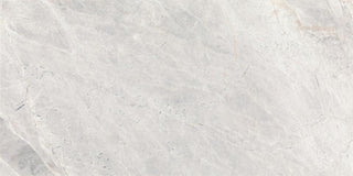 Frost Gray - 12x24 Eclessia Marble Natural Marble-Look Honed Smooth Marble Tile