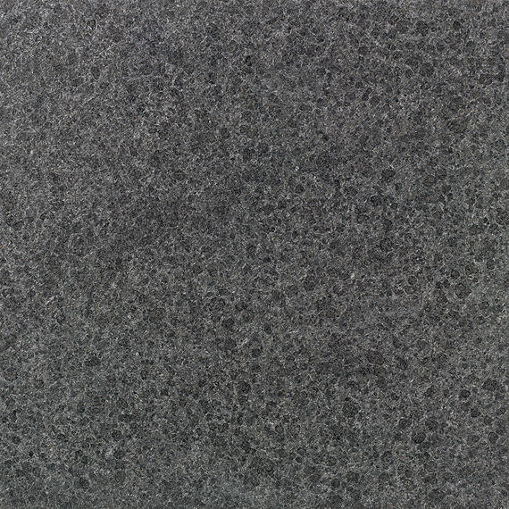 12x12 Granite Speckled Patterned Stone-Look Polished Textured Granite Tile