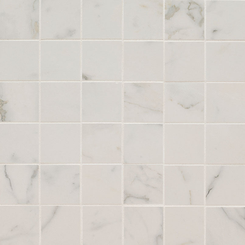 2x2 Regallo Gray Vein Mosaic Stone-Look Matte Smooth Porcelain Tile