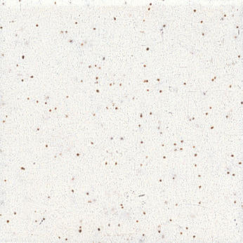 1x1 Unglazed Mosaics Circle Penny Round Speckled Mosaic Mixed-Color Matte Smooth Porcelain Tile Off White