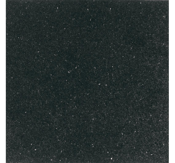 12x12 Granite Speckled  Patterned Stone-Look Polished Textured Granite Tile Light Black