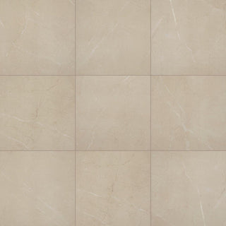 12x12 Perpetuo Light Veining Natural Marble-Look Matte Smooth Porcelain Tile