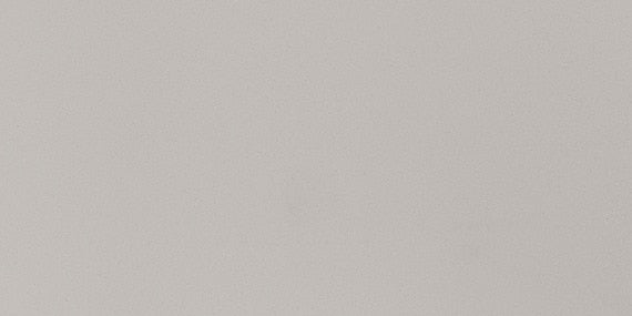 12x24 Median  Natural Stone-Look Polished Smooth Porcelain Tile Light Gray