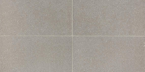 12x24 Neospeck  Natural Concrete-Look Polished Smooth Porcelain Tile Light Gray