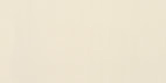 12x24 Clay Canvas  Natural Stone-Look Matte Smooth Porcelain Tile Soft White