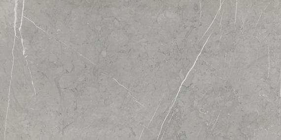 12x24 Platinum  Natural Stone-Look Glossy Smooth Porcelain Tile Gray