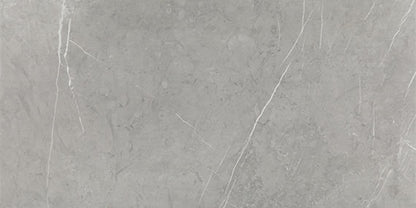 12x24 Platinum  Natural Stone-Look Glossy Smooth Porcelain Tile Gray