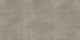 12x24 Platinum  Natural Stone-Look Glossy Smooth Porcelain Tile Warm Gray