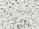 12x24 Outlander Fragment Shard Speckled Natural Mixed-Color Matte Smooth Porcelain Tile Stone Mix