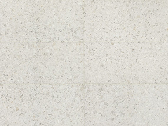 12x24 Outlander Fragment Shard Speckled Natural Terrazzo-Look Matte Smooth Porcelain Tile Light Beige