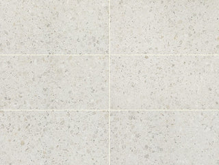 12x24 Outlander Fragment Shard Speckled Natural Terrazzo-Look Matte Smooth Porcelain Tile