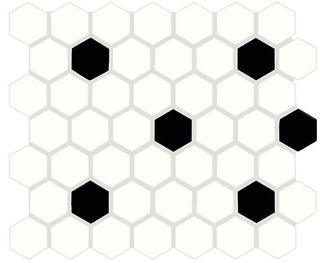 White & Black - 12x14 Color Wheel Mosaic Hexagon Dotted Grid Mosaic Mixed-Color Matte Smooth Ceramic Tile