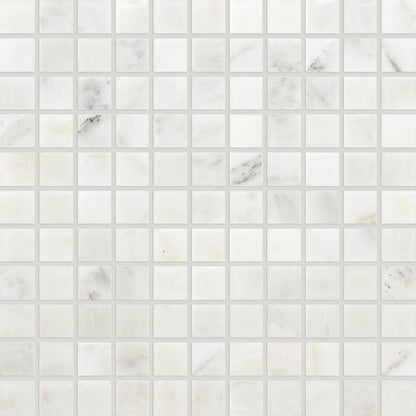2x2 Marble  Mosaic Stone-Look Honed Smooth Marble Tile White Gray
