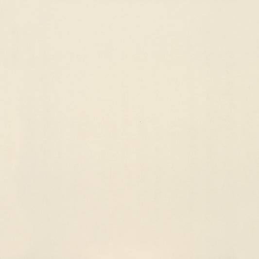 24x24 Clay Canvas  Natural Stone-Look Polished Smooth Porcelain Tile Neutral Gray