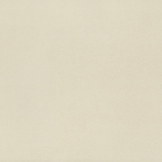 24x24 Neoconcrete Natural Concrete-Look Polished Smooth Porcelain Tile