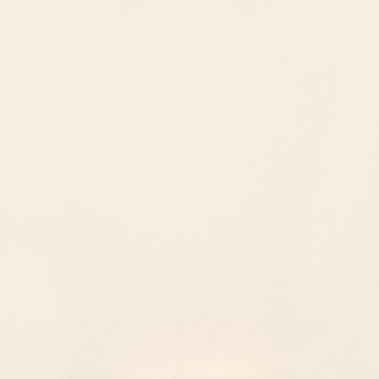 24x24 Clay Canvas  Natural Stone-Look Matte Smooth Porcelain Tile Soft White