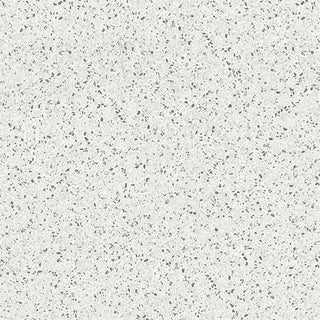Light Speckle - 24x24 Modernist Speckled Natural Terrazzo-Look Matte Smooth Porcelain Tile