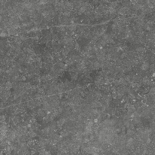 24x24 Diplomacy Natural Stone-Look Matte Smooth Porcelain Tile