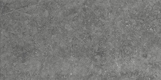 Pale Gray - 24x48 Diplomacy Natural Stone-Look Matte Smooth Porcelain Tile