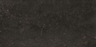 24x48 Diplomacy Natural Stone-Look Matte Smooth Porcelain Tile