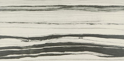 24x48 Vertuo Light Veining  Natural Stone-Look Matte Smooth Porcelain Tile Striped Charcoal