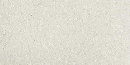 24x48 Outlander Speckled  Natural Stone-Look Matte Smooth Porcelain Tile Warm Ivory