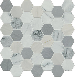 12x12 Raine Hexagon Mosaic Mixed-Color Honed Smooth Marble Tile