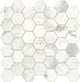2 Raine Hexagon  Mosaic Marble-Look Honed Smooth Marble Tile Marble White