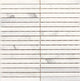 1/2x6 Stone A La Mod Linear  Mosaic Stone-Look Polished Smooth Stone Tile White Marble