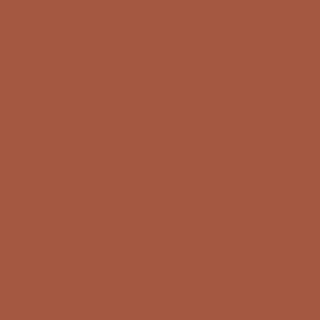 Canyon Red - 6x6 Quarry Regular Natural Solid-Color Matte Gritty Clay Tile
