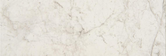 8x24 Mythique Marble  Natural Marble-Look Matte Smooth Porcelain Tile Light Cream