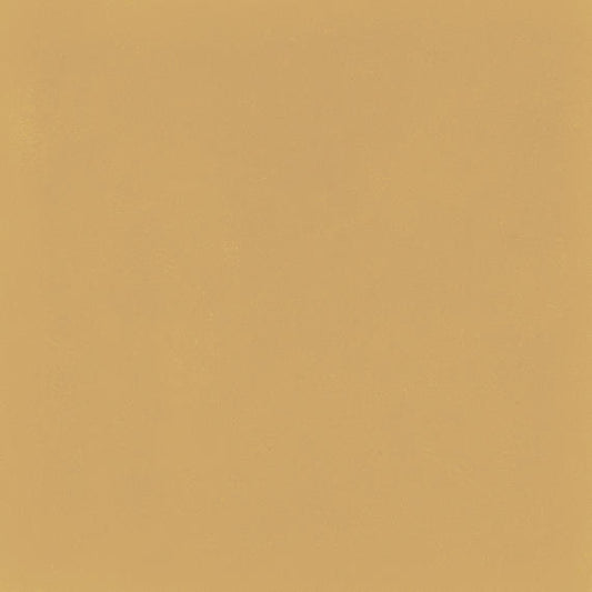 8x8 D_segni Color Natural Solid-Color Matte Smooth Porcelain Tile