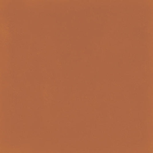 8x8 D_segni Color  Natural Solid-Color Matte Smooth Porcelain Tile Rust Orange