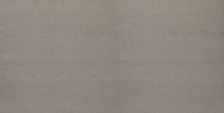 24x48 Fixture Natural Concrete-Look Polished Smooth Porcelain Tile