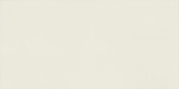 12x24 Flat Natural Concrete-Look Matte Smooth Porcelain Tile