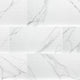 12x24 Dymo Intense Veining Patterned Marble-Look Glossy Rippled Ceramic Tile White Gray