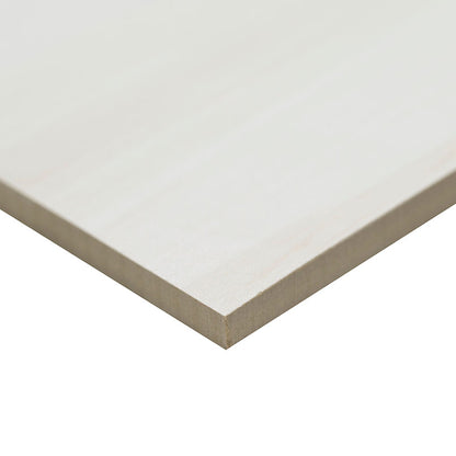 12x24 Eden Light Veining Marble-Look Matte Smooth Porcelain Tile Soft Ivory