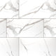 12x24 Eden Intense Veining Marble-Look Matte Smooth Porcelain Tile White Gray