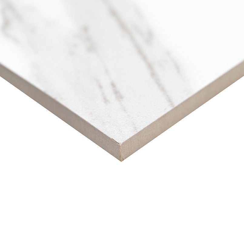 12x24 Eden Intense Veining Marble-Look Matte Smooth Porcelain Tile White Gray