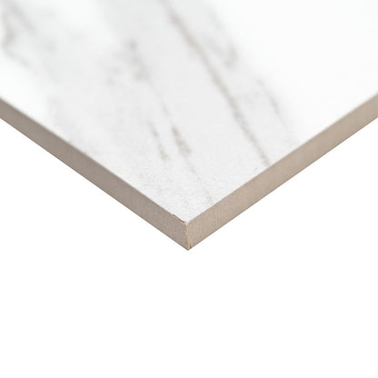 12x24 Eden Intense Veining Marble-Look Matte Smooth Porcelain Tile White Gray