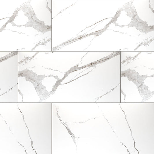 24x48 Eden Intense Veining Marble-Look Matte Smooth Porcelain Tile White Gray