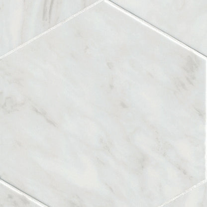 11x13 Geoglam Hexagon Marble-Look Matte Smooth Porcelain Tile White Gray