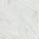 11x13 Geoglam Hexagon Marble-Look Matte Smooth Porcelain Tile White Gray