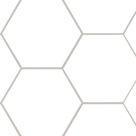 9x10 Hexley Hexagon Solid-Color Matte Smooth Ceramic Tile Bright White