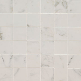 Ivory White - 2x2 Regallo Gray Vein Mosaic Stone-Look Matte Smooth Porcelain Tile