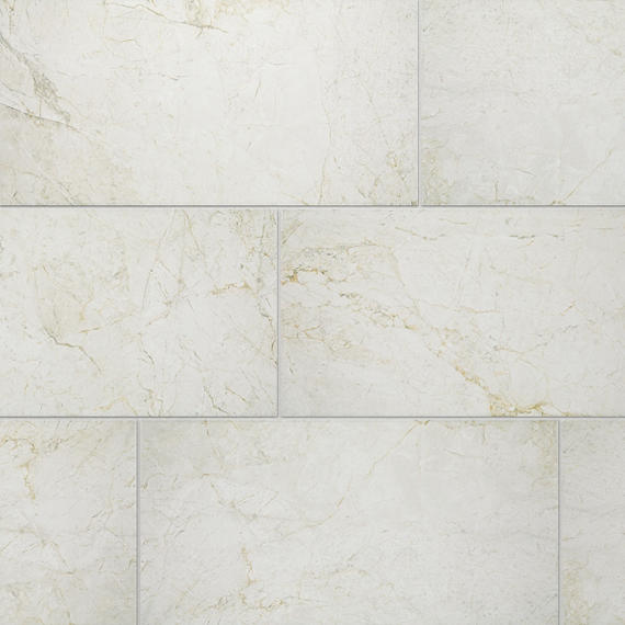 12x24 Platinum  Natural Marble-Look Matte Smooth Porcelain Tile Light Gray
