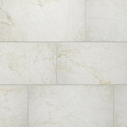 12x24 Platinum  Natural Marble-Look Matte Smooth Porcelain Tile Light Gray